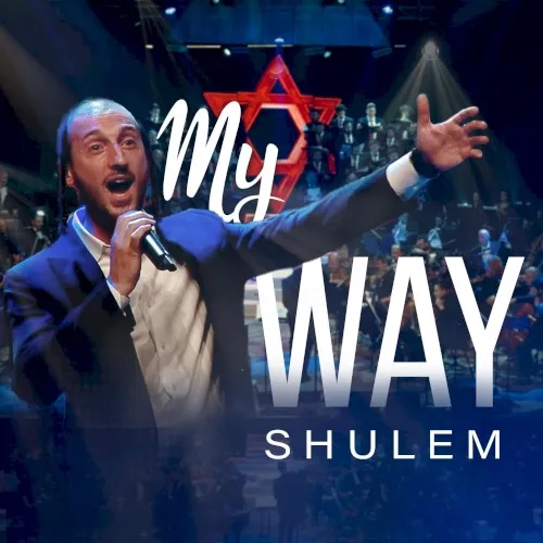 My Way (Live) cover