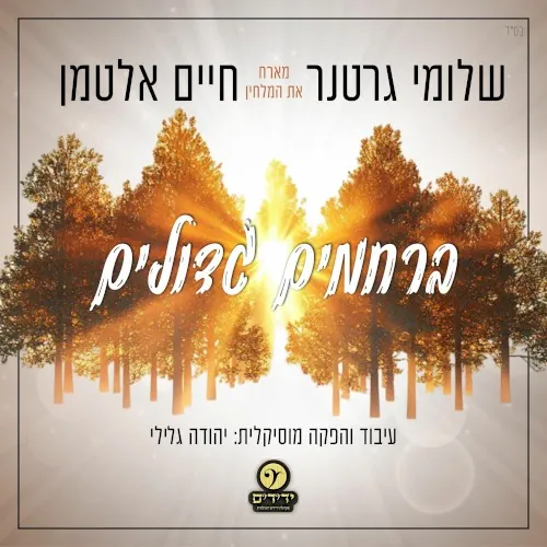 ברחמים גדולים cover