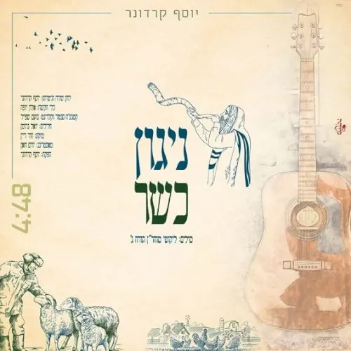 ניגון כשר cover