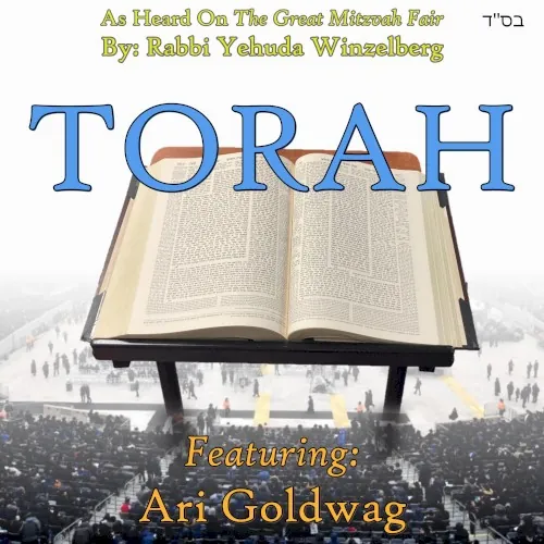 Torah cover