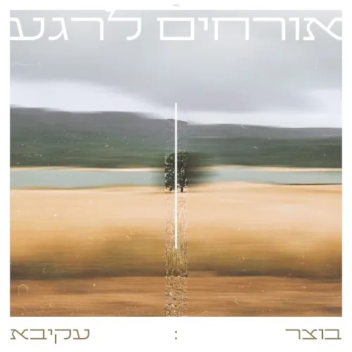 אורחים לרגע cover
