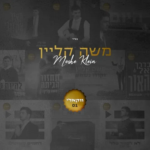 ווקאלי 01 cover