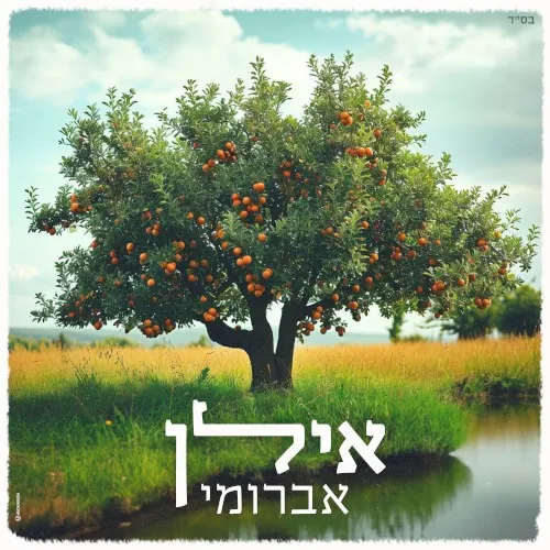 אילן cover
