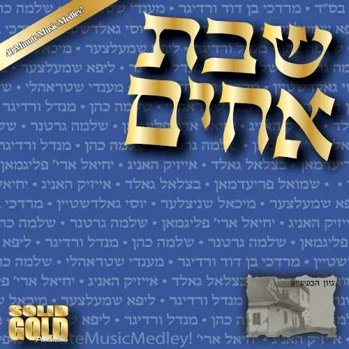 Shevet Achim: 40 Minute Music Medley! cover