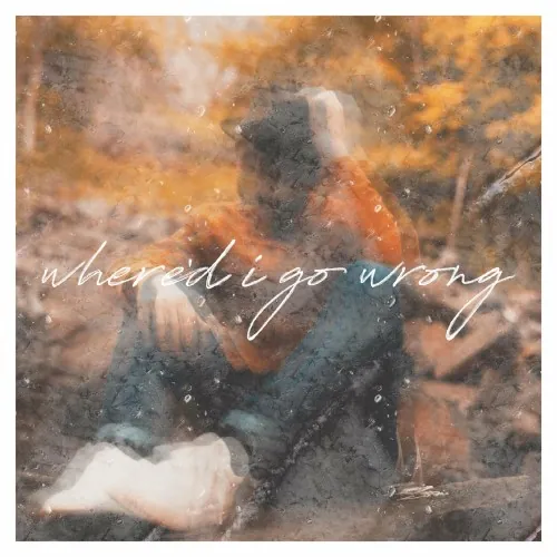 Where'd I Go Wrong cover