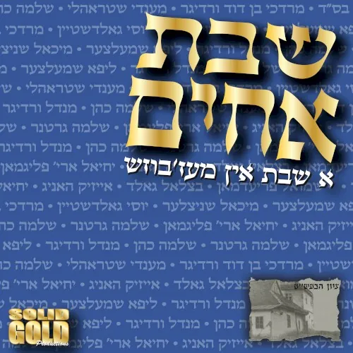 Shevet Achim: A Shabbos in Mezbish cover