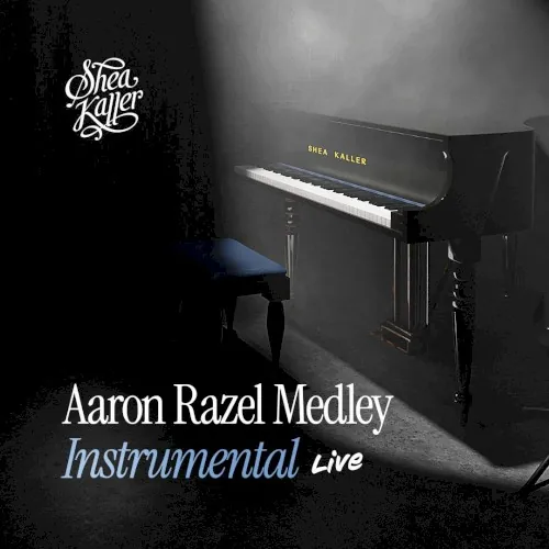 Aaron Razel Medley cover