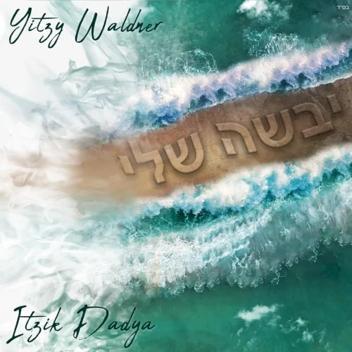 Yabasha Sheli cover