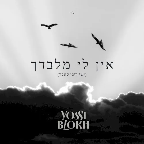 אין לי מלבדך cover