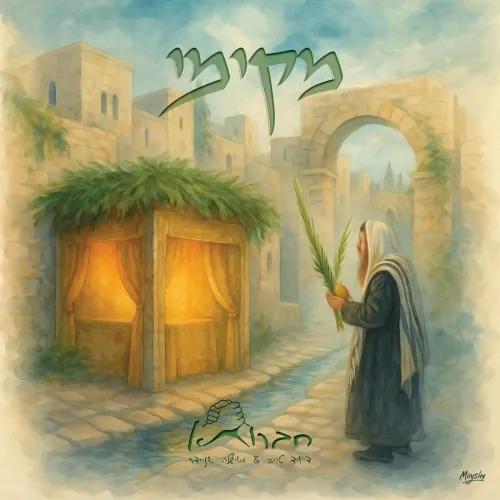 מקימי cover