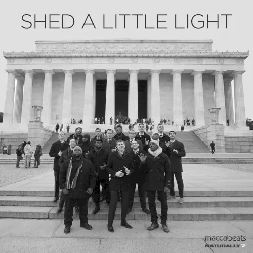 Shed a Little Light cover
