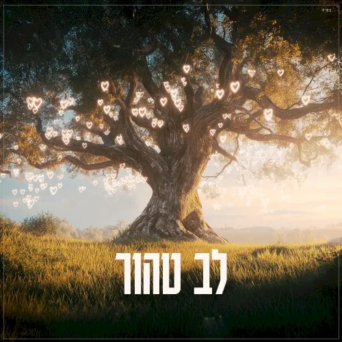 Lev Tahor cover