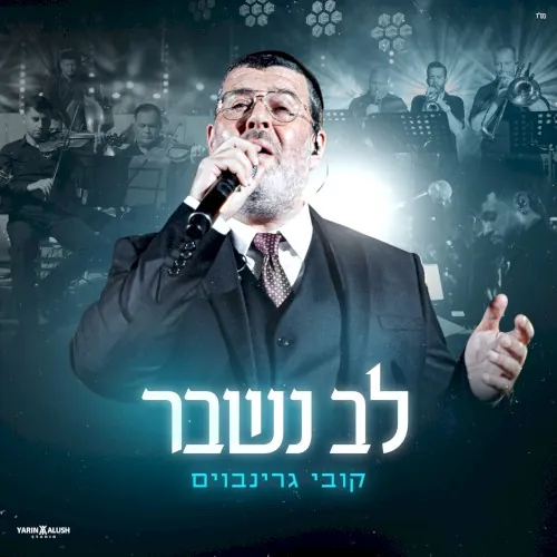 לב נשבר cover