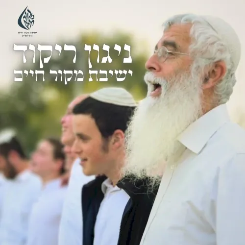 ניגון ריקוד (סאטמר) cover