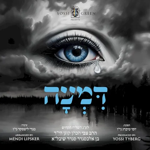Dim'oh cover