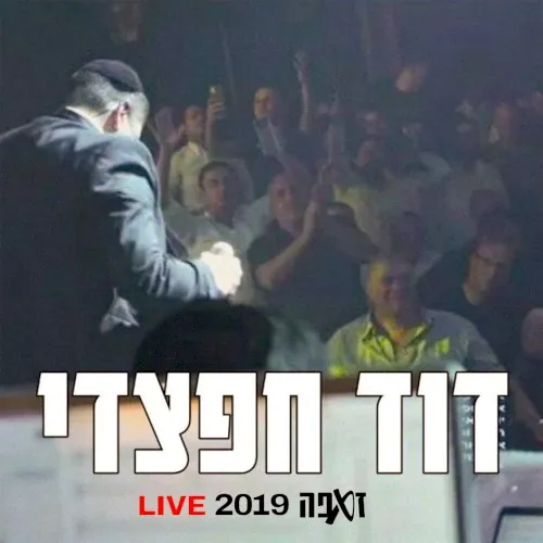 זאפה LIVE 2019 cover