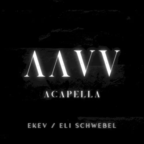 AAVV - Acapella cover