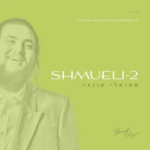 Shmueli-2 cover