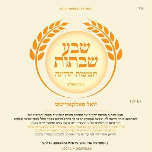Sheva Shabbasos Temimos Tihiyena cover