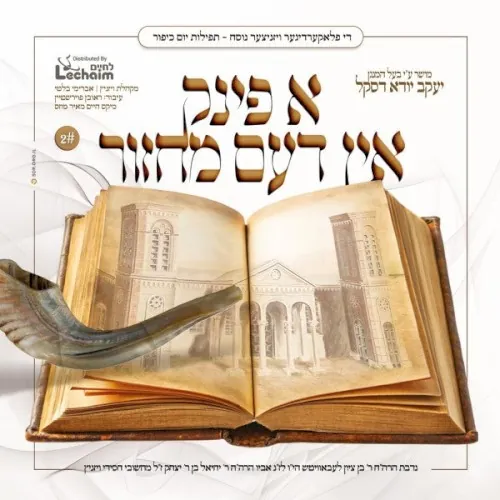 A Fink In Dem Machzor 2 cover