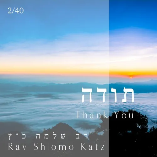 Thank You cover