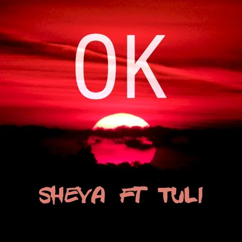Ok cover