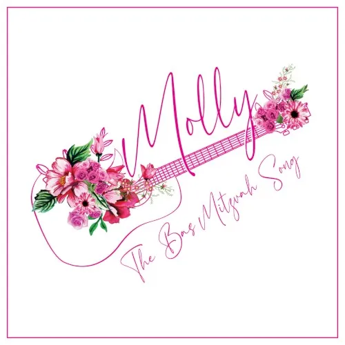 The Bas Mitzvah Song cover