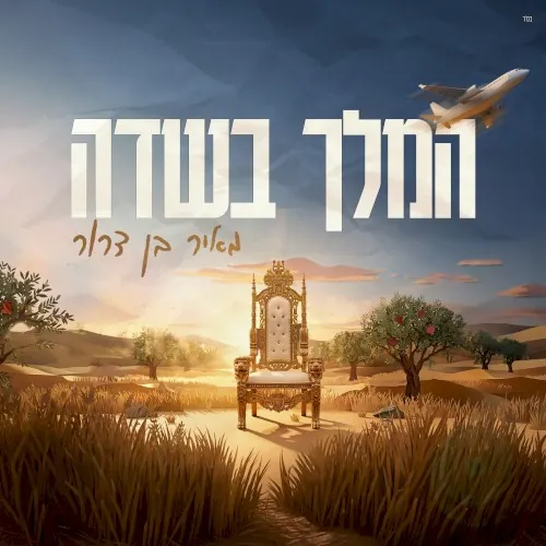 המלך בשדה cover