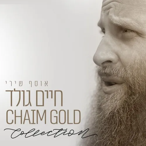 אוסף שירי חיים גולד cover