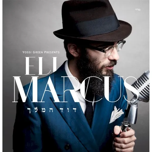 Dovid Hamelech cover
