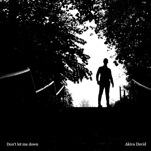 Don't Let Me Down cover