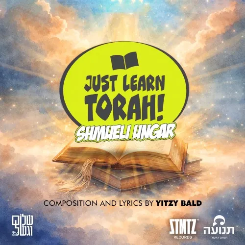 Just Learn Torah cover