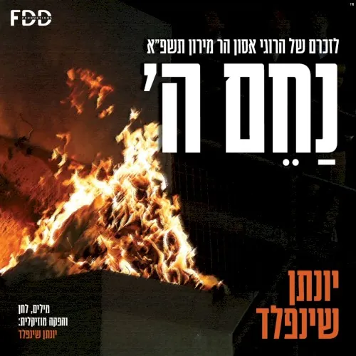 נחם ה' cover