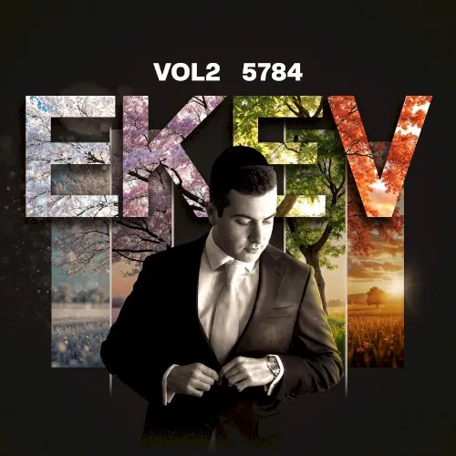 VOL2 cover