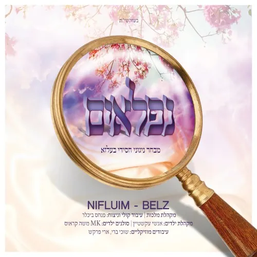 Nifluim cover