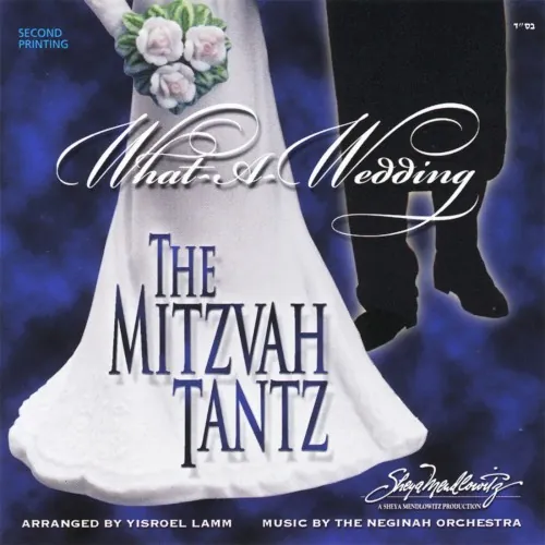 What a Wedding - The Mitzvah Tantz cover