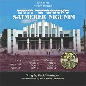 Satmar Nigunim cover
