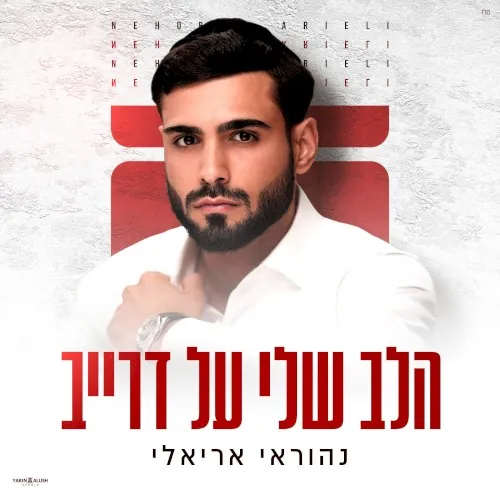 הלב שלי על דרייב cover