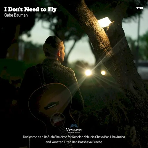 I Don't Need to Fly cover