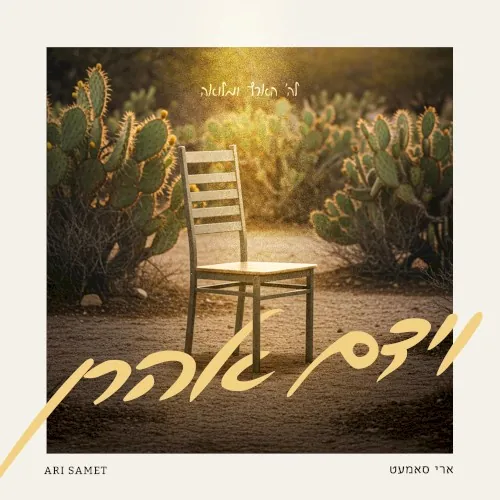 וידם אהרן cover