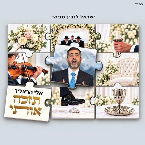 תזכה אותי cover