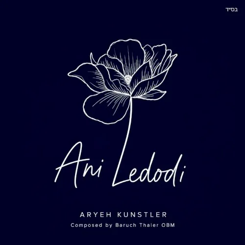 Ani Ledodi cover