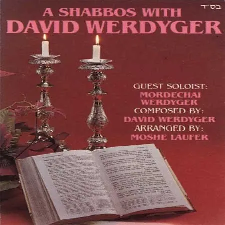 A Shabbos With David Werdyger cover