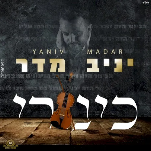 כינורי cover