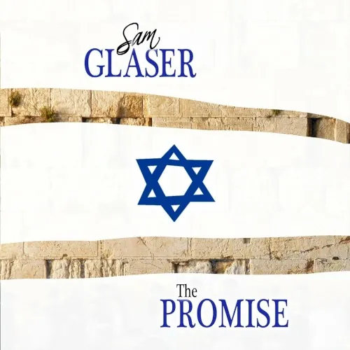 The Promise cover