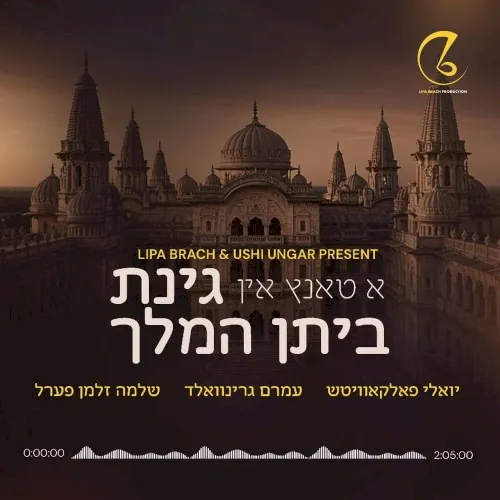 A Tantz In Ginas Beis Hamelech cover