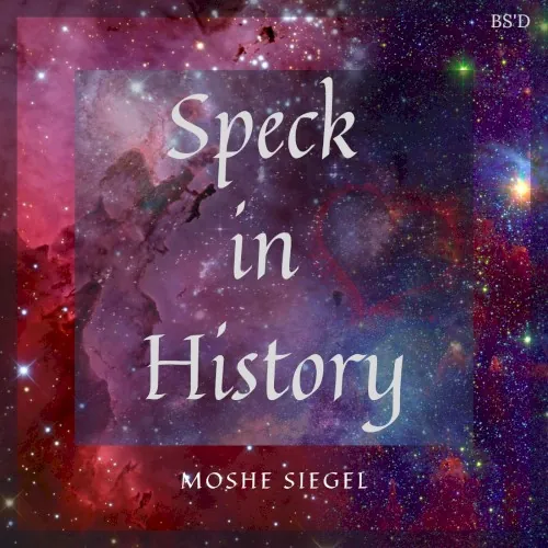 Speck in History cover