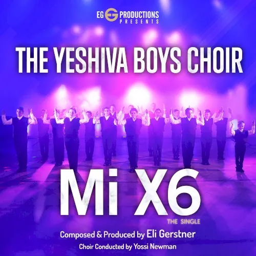 Mi X6 cover