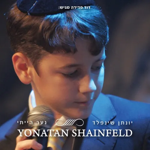 נער הייתי cover