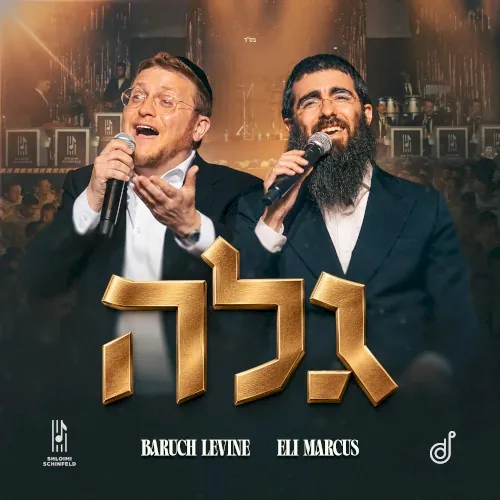גלה cover
